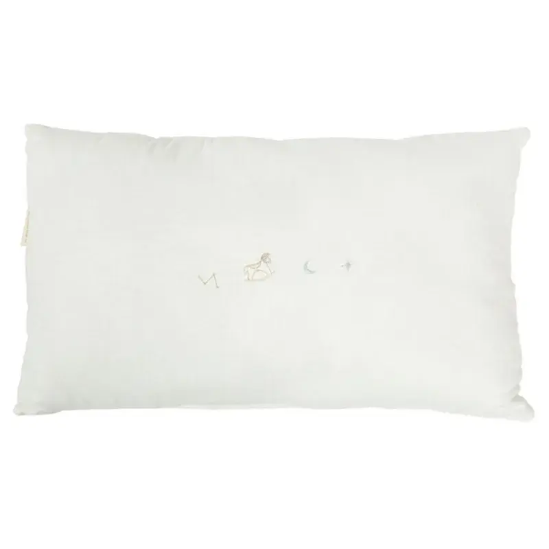 cojin-rectangulo-34x30-rec-blue-sky-535-16-b-ver